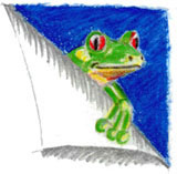 Sapo Media